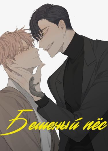 Бешеный пёс