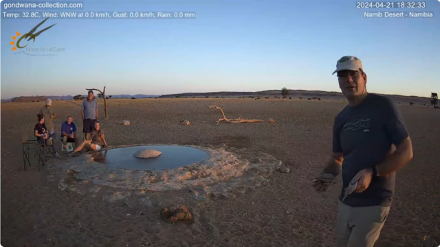 lo screenshot dalla webcam di Namib Live mostra un Homo Sapiens in piedi di fronte alla telecamera spostato sulla destra che sta spiegando cose e altrə Homo Sapiens accanto alla pozza sulla sinistra che si rilassano e bevono una birretta